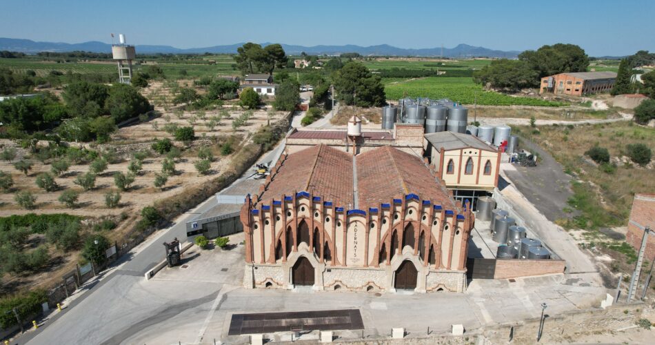 Celler Adernats, Vinícola Nulles